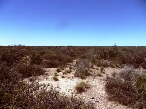 Campo en Venta en Puerto Madryn, Biedma