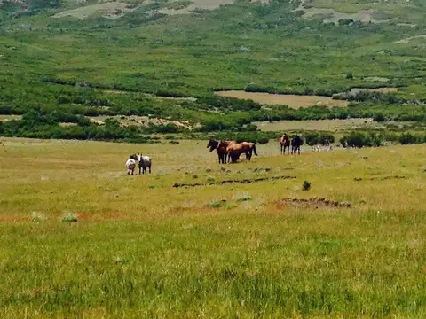 Campo en Venta en Cholila, Cushamen
