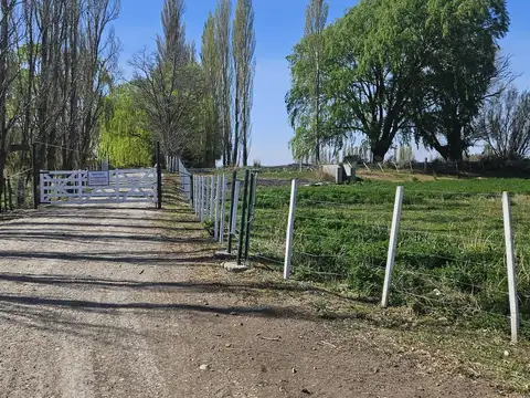 Campo en Venta en Gaiman, Chubut