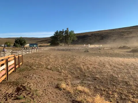 Campo en Venta en Aldea Apeleg, Río Senguer