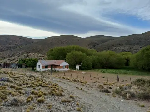 Campo en Venta en Tecka, Languiñeo