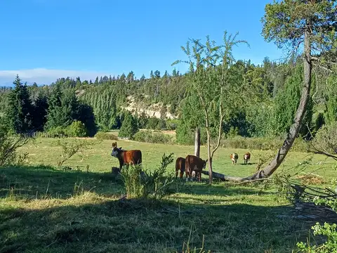 Campo en Venta en Trevelin, Futaleufú