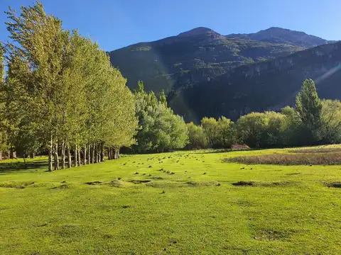 Campo en Venta en Los Cipreses, Futaleufú