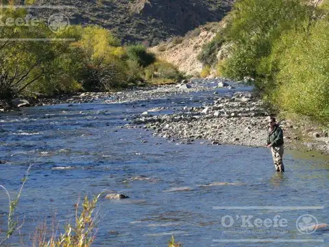 Campo en Venta en Alto Rio Senguer, Río Senguer