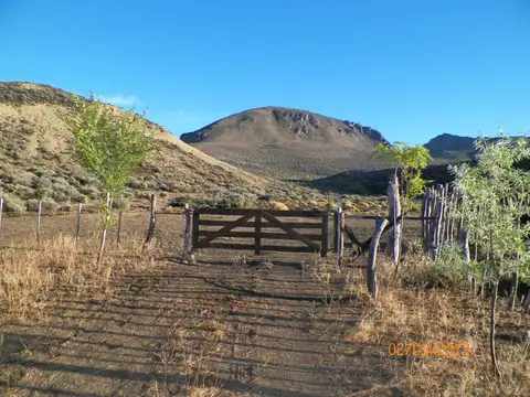 Campo en Venta en Gualjaina, Cushamen