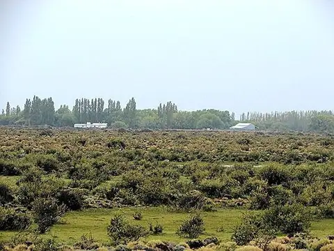 Campo en Venta en Alto Rio Senguer, Río Senguer