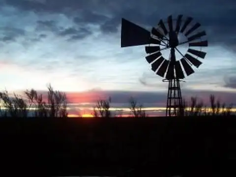 Campo en Venta en Puerto Lobos, Biedma