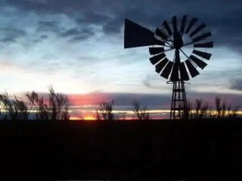 Campo en Venta en Puerto Lobos, Biedma