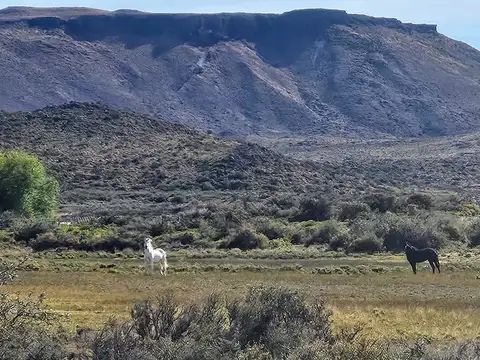 Campo en Venta en El Sombrero, Paso de Indios