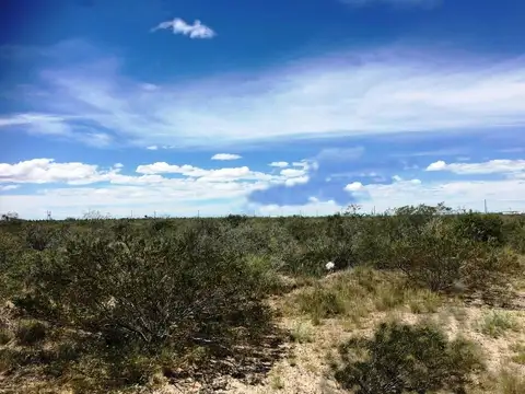 Terreno en Venta en Puerto Madryn, Biedma