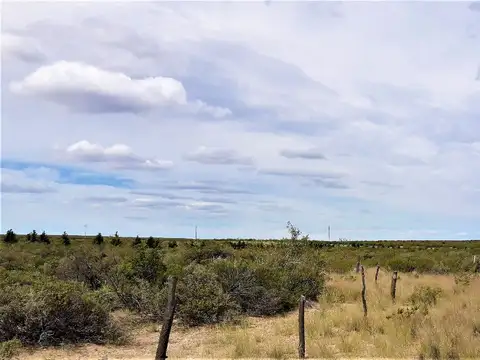 Terreno en Venta en Puerto Madryn, Biedma