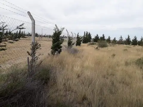 Terreno en Venta en Puerto Madryn, Biedma
