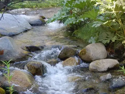 Terreno en Venta en Epuyen, Cushamen