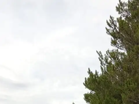 Terreno en Venta en El Maiten, Cushamen