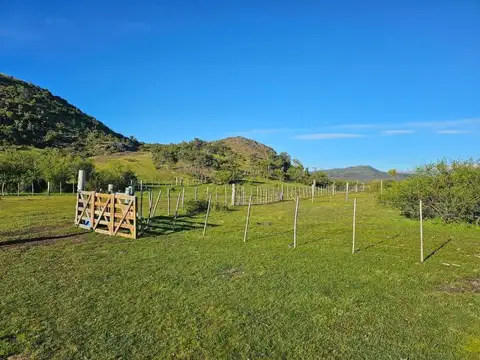 Terreno en Venta en Cholila, Cushamen