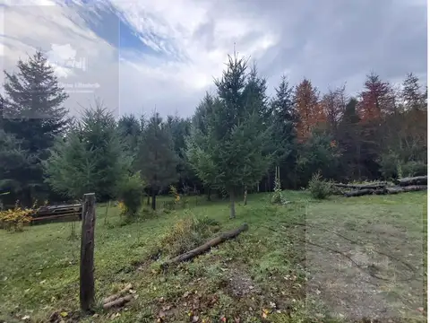 Terreno en Venta en Lago Puelo, Cushamen