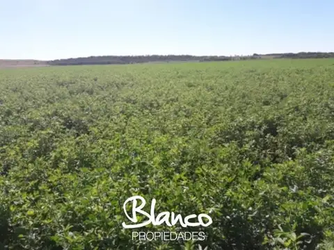 Casa en Venta en San Luis, Juan Martín de Pueyrredón