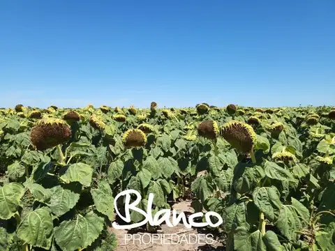 Casa en Venta en Juan Jorba, General Pedernera