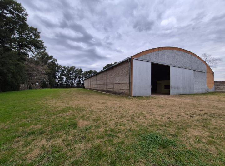 Bodega-Galpón · 1000m²