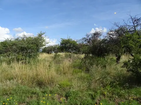 Terreno en Venta en Villa Larca, Chacabuco