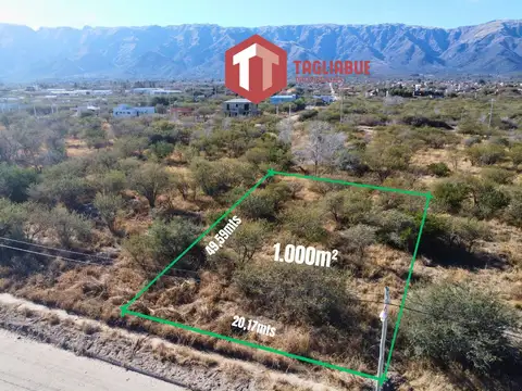 Terreno en Venta en Merlo, Junín