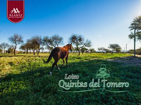 Terreno en Venta en Quintas del Tomero, Merlo