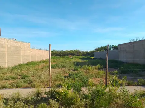 Terreno en Venta en San Luis, Juan Martín de Pueyrredón