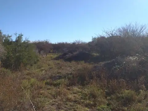 Terreno en Venta en Cortaderas, Chacabuco