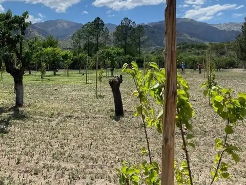 Terreno en Venta en Villa de la Quebrada, Belgrano