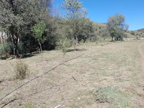 Terreno en Venta en Trapiche, Coronel Pringles