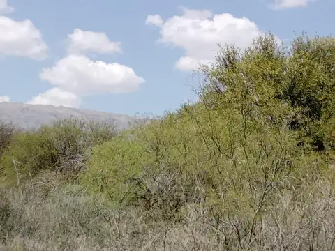Terreno en Venta en Merlo, Junín