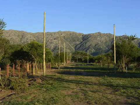 Terreno en Venta en Cortaderas, Chacabuco