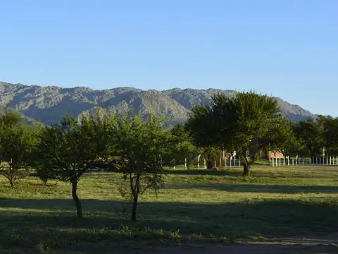 Terreno en Venta en Cortaderas, Chacabuco