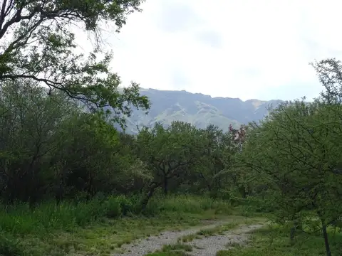 Terreno en Venta en Centro, Carpinteria