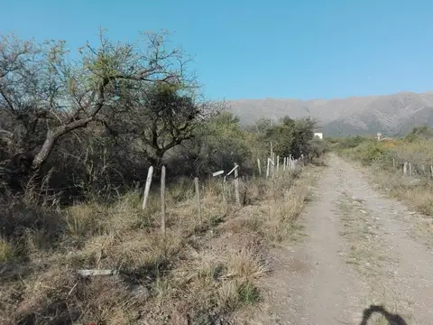 Terreno en Venta en Carpinteria, Junín