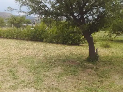 Terreno en Venta en Juana Koslay, Juan Martín de Pueyrredón