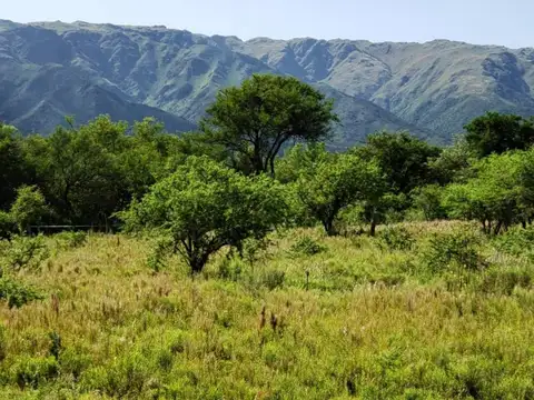 Terreno en Venta en Cerro De Oro, Merlo