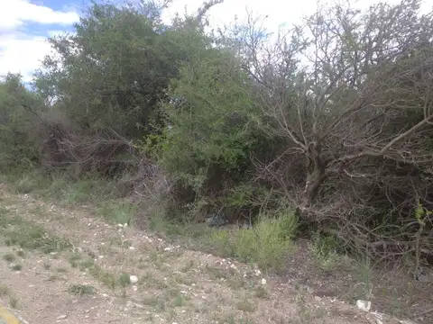Terreno en Venta en Cortaderas, Chacabuco