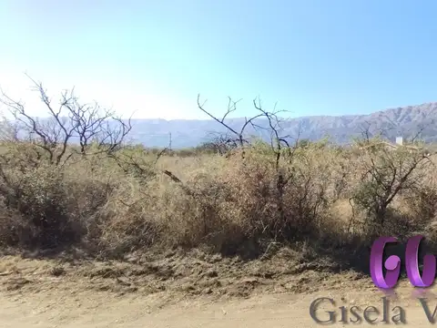 Terreno en Venta en Carpinteria, Junín