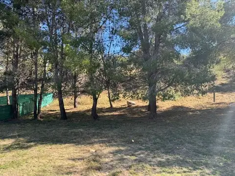 Terreno en Venta en Juana Koslay, Juan Martín de Pueyrredón