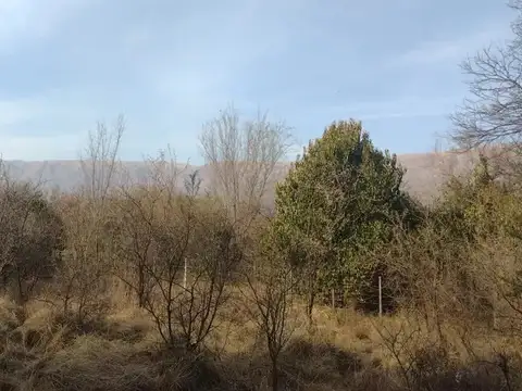 Terreno en Venta en Altos De Carpinteria, Carpinteria