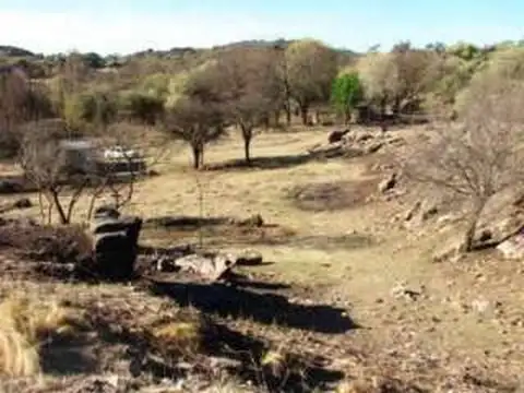 Terreno en Venta en Trapiche, Coronel Pringles
