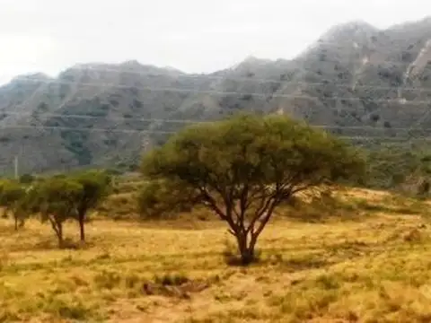 Terreno en Venta en San Luis, Juan Martín de Pueyrredón