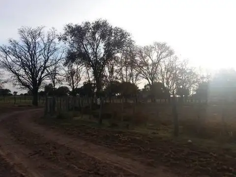 Casa en Alquiler en Nueva Galia, Gobernador Dupuy