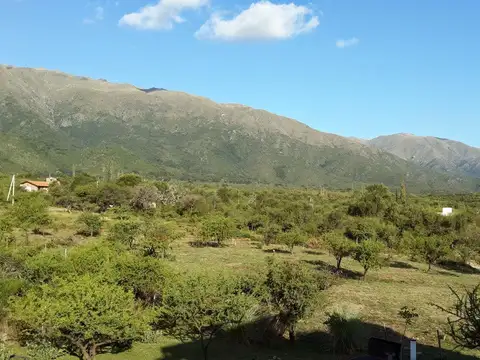 Quinta en Venta en Carpintería, Junín