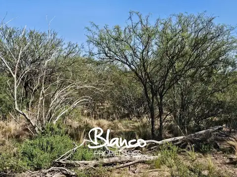 Campo en Venta en San Luis, Juan Martín de Pueyrredón