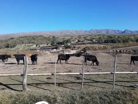 Campo en Venta en San Luis, Juan Martín de Pueyrredón