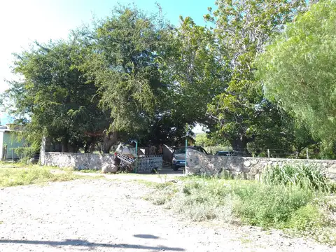Campo en Venta en Nogoli, Belgrano