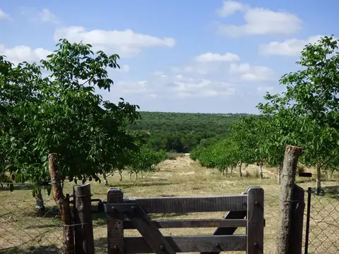 Campo en Venta en Cortaderas, Chacabuco