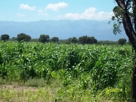 Campo en Venta en San Martin Anexo, San Luis